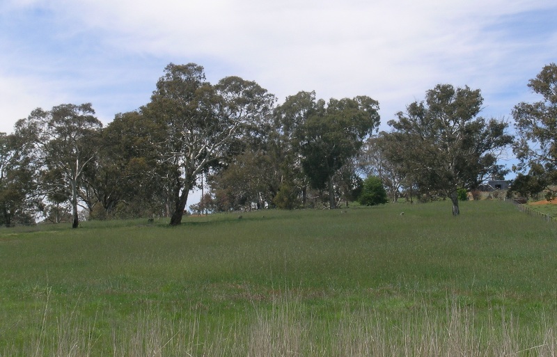 LOOKING TO BUILD? Picture