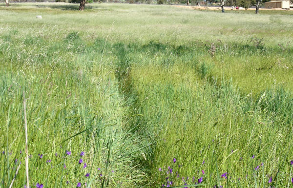 LOOKING TO BUILD? Picture