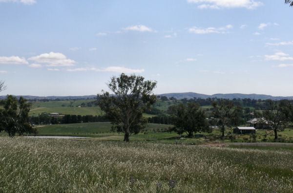 SURE TO IMPRESS Picture 2