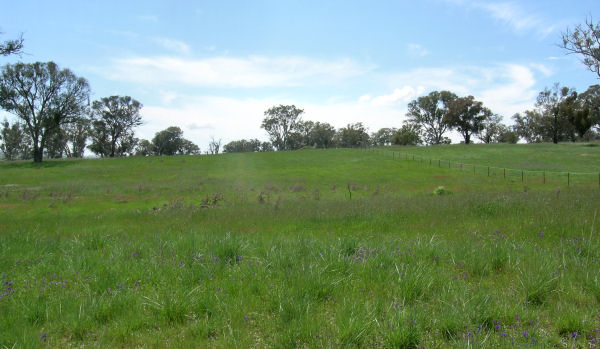 SURE TO IMPRESS Picture 1