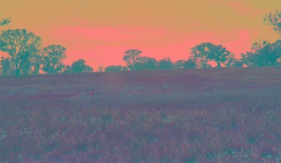 SURE TO IMPRESS Picture