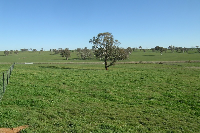 EXCELLENT VALUE Picture 3