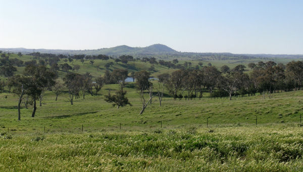 MAGNIFICENT VIEWS Picture 3