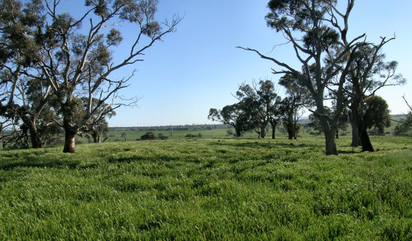 MAGNIFICENT VIEWS Picture 2