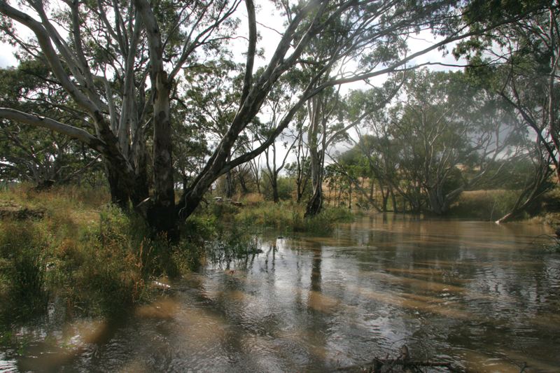 RIVER FRONTAGE Picture 1