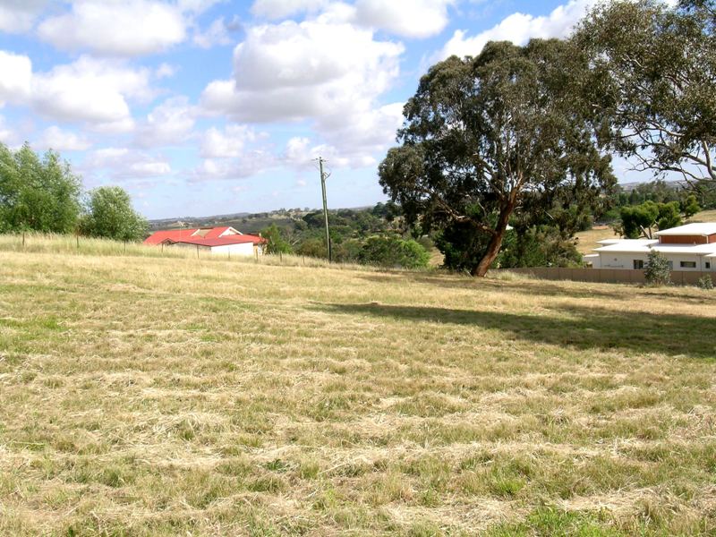 HERE IT IS! Picture 1