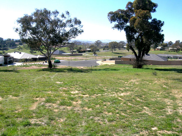 HERE IT IS! Picture 3