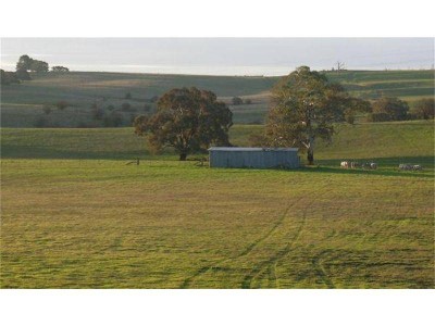 LOCATION & WATER Picture