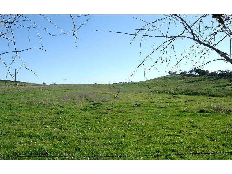 NEW PRICE! Picture 3