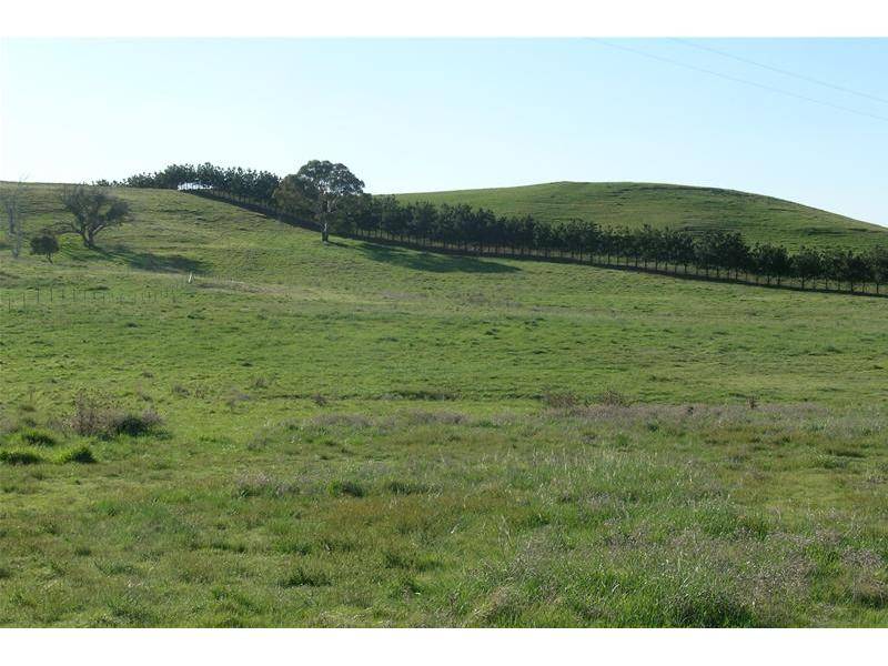 NEW PRICE! Picture 1