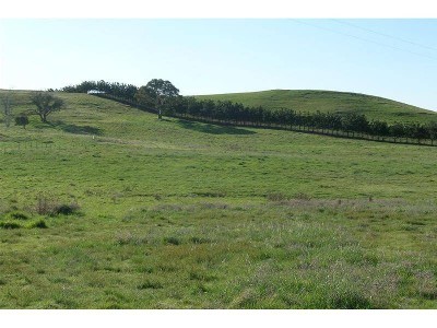 NEW PRICE! Picture NEW PRICE! Picture