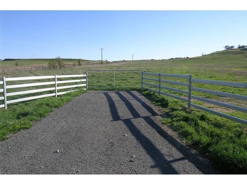 NEW PRICE! Picture 2