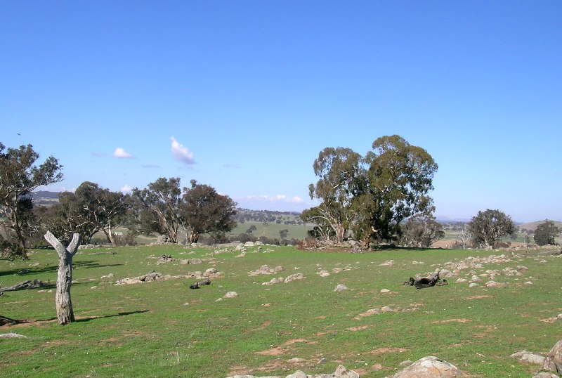 A Birds Eye View! Picture 2