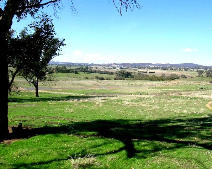 A Birds Eye View! Picture 3