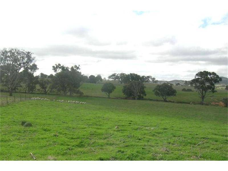 A NATURAL BEAUTY! Picture 1