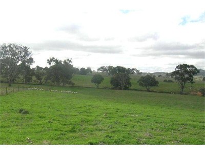 A NATURAL BEAUTY! Picture A NATURAL BEAUTY! Picture