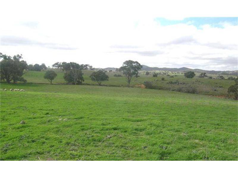 A NATURAL BEAUTY! Picture 3