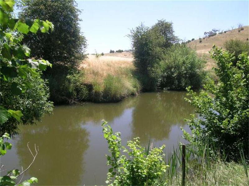 PLANT A PIN - GROW A CROW BAR! Picture 3