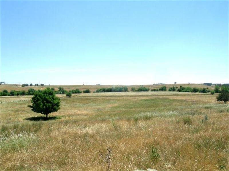 PLANT A PIN - GROW A CROW BAR! Picture 2