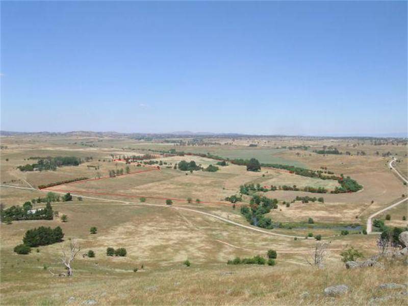 PLANT A PIN - GROW A CROW BAR! Picture 1