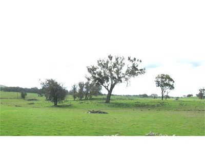 HILLTOP VIEWS! Picture HILLTOP VIEWS! Picture