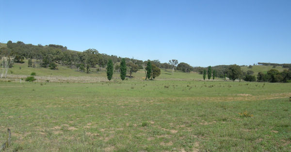 FAMILY FUN Picture 1