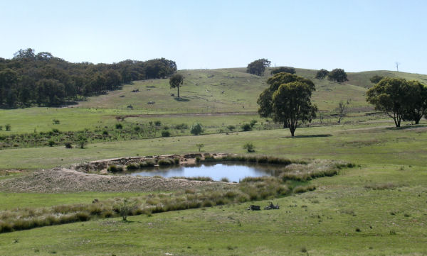 FAMILY FUN Picture 2