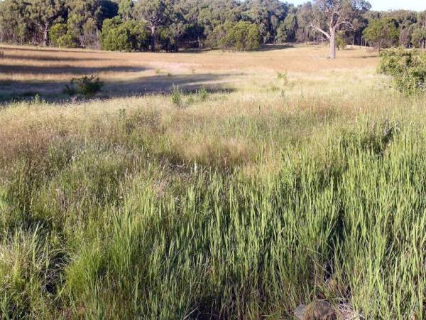 PERFECT LIFESTYLE OPPORTUNITY Picture 2