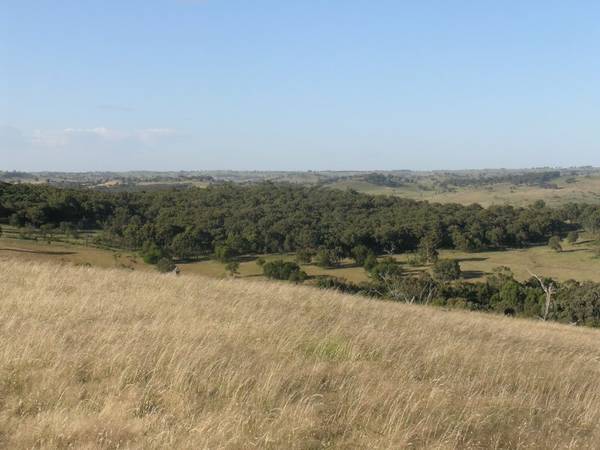 PERFECT LIFESTYLE OPPORTUNITY Picture 1