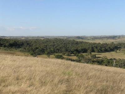 PERFECT LIFESTYLE OPPORTUNITY Picture