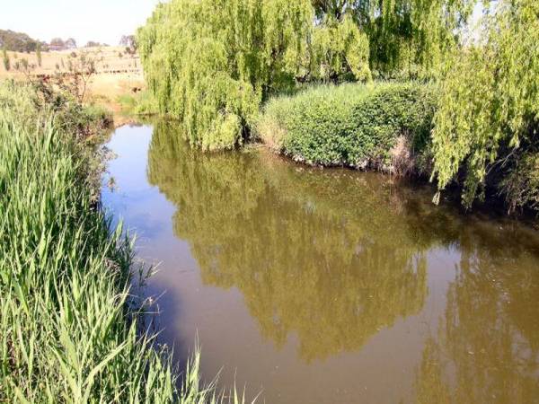 PERMANENT WATER Picture 1