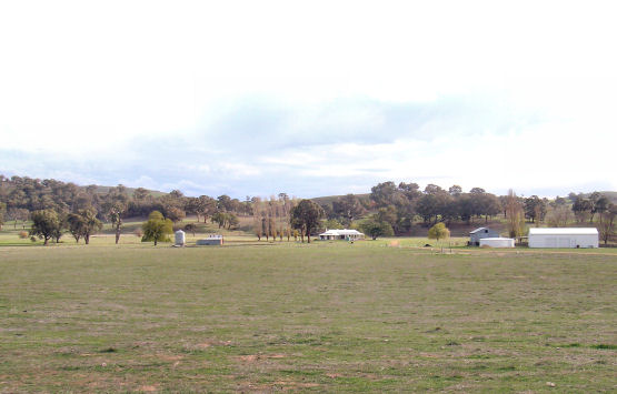 PICK OF THE CROP Picture 2