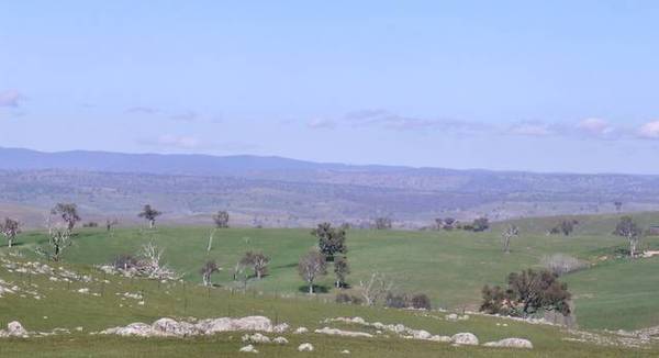 DRESS CIRCLE LOCATION Picture 1