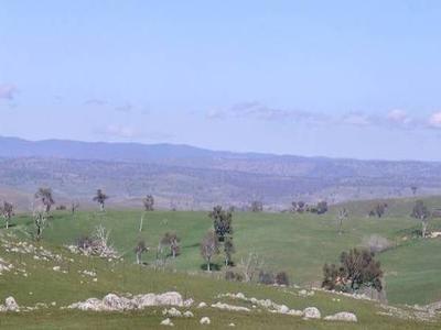 DRESS CIRCLE LOCATION Picture DRESS CIRCLE LOCATION Picture