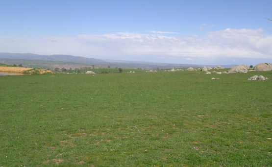 DRESS CIRCLE LOCATION Picture 3