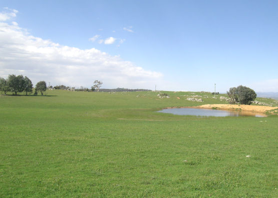 DRESS CIRCLE LOCATION Picture 2