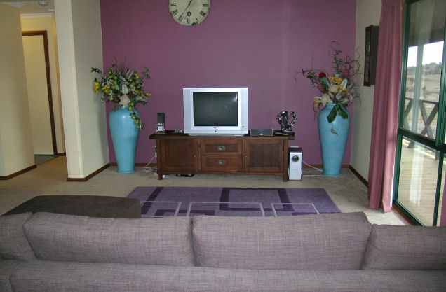 HORSE LOVERS Picture 3