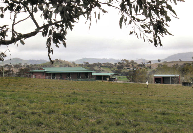 HORSE LOVERS Picture 1