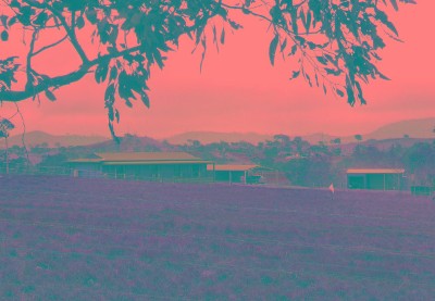 HORSE LOVERS Picture