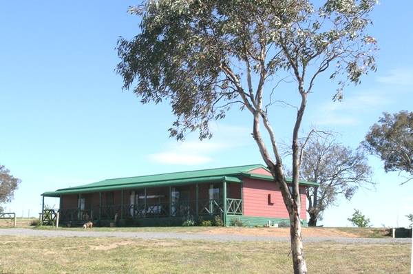 HORSE LOVERS! Picture 1