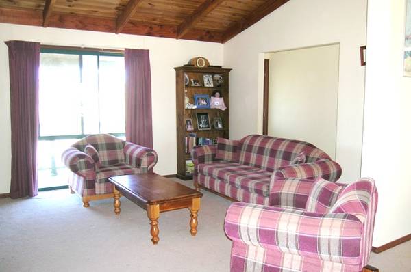 HORSE LOVERS! Picture 3