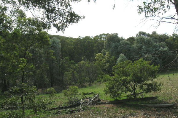 RECREATION
OR CARBON TRADING! Picture 3