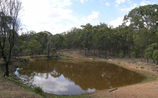 RECREATION
OR CARBON TRADING! Picture 2