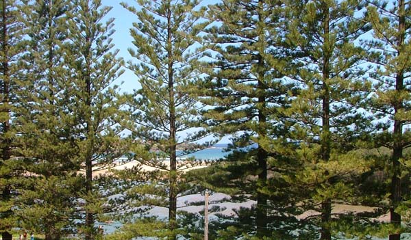 GERROA'S CHEAPEST HOME Picture 3