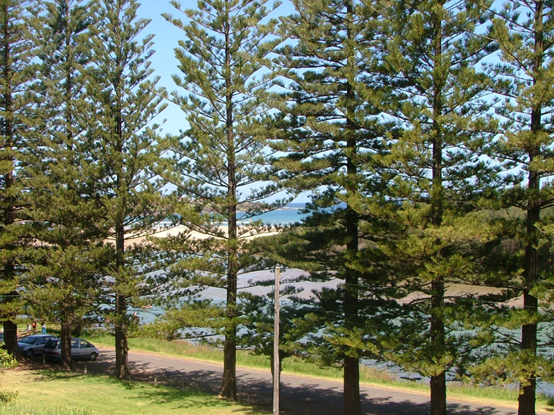 GERROA'S CHEAPEST HOME Picture 1