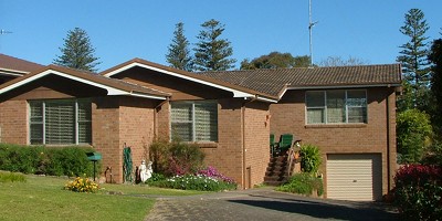 TERRIFIC VALUE Picture