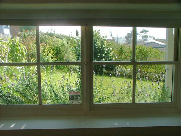 WERRI BEACH Picture 3