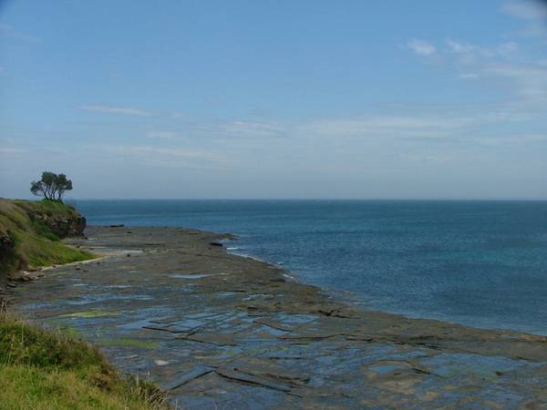 BEACH & OCEAN VIEWS
$679,000 Picture 2