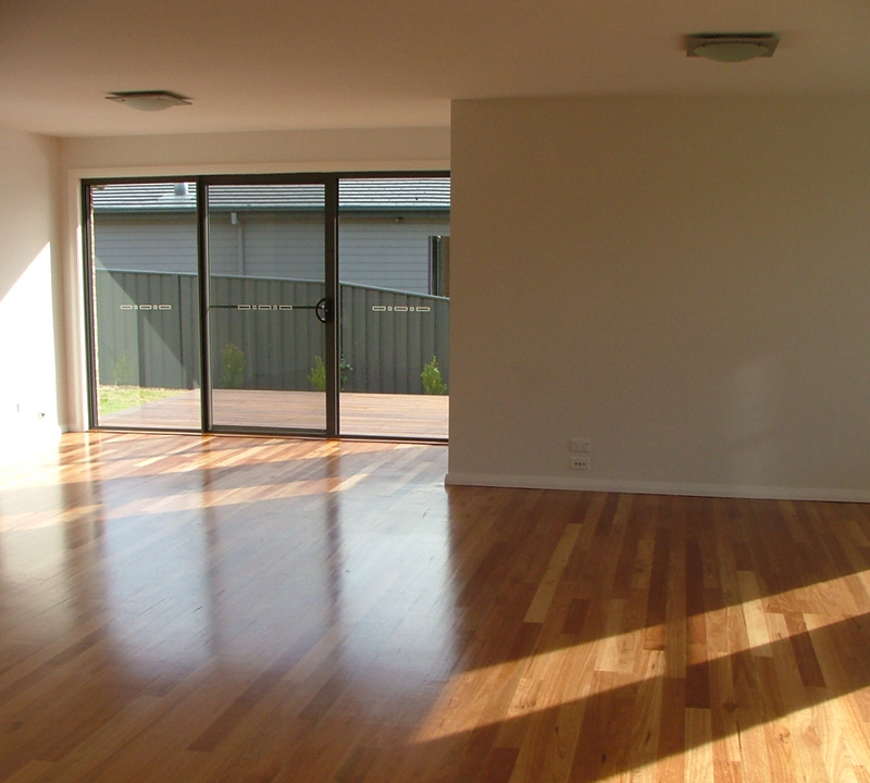 EVERYBODYS DREAM Picture 2