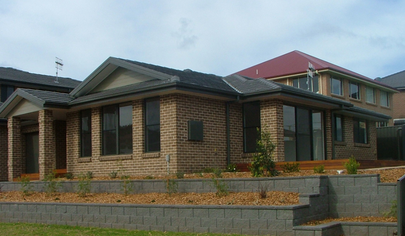 EVERYBODYS DREAM Picture 1